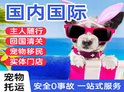 杭州萧山空运公司国际宠物托运 【国